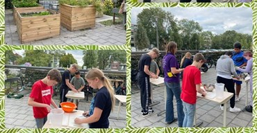 Moestuintjes op de Ommezwaai